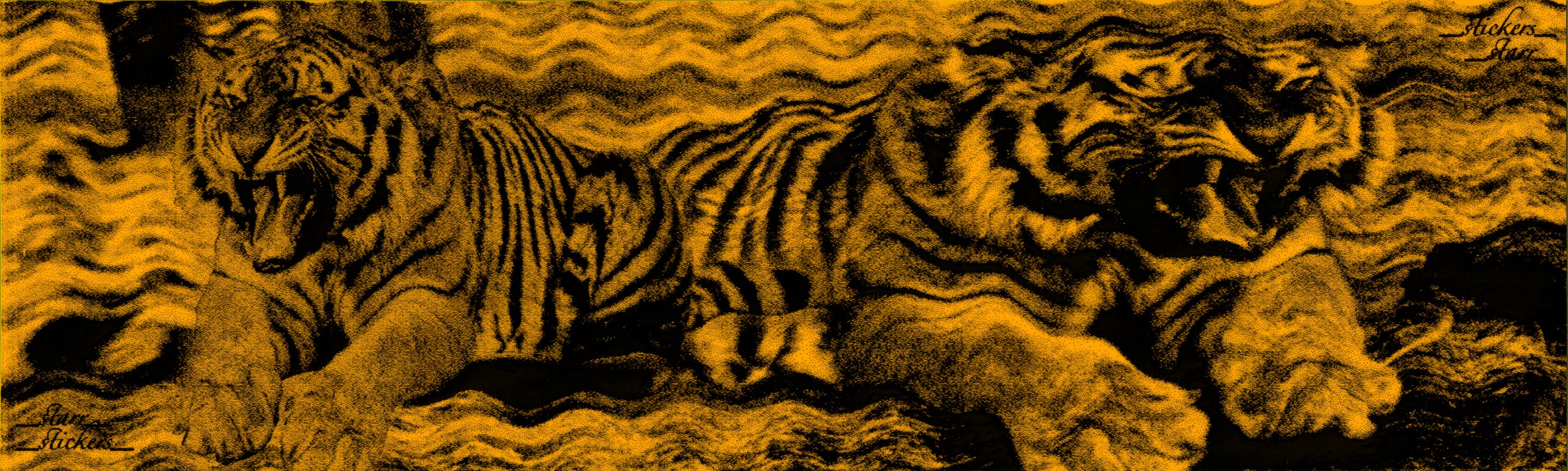 0172 TWO TIGERS