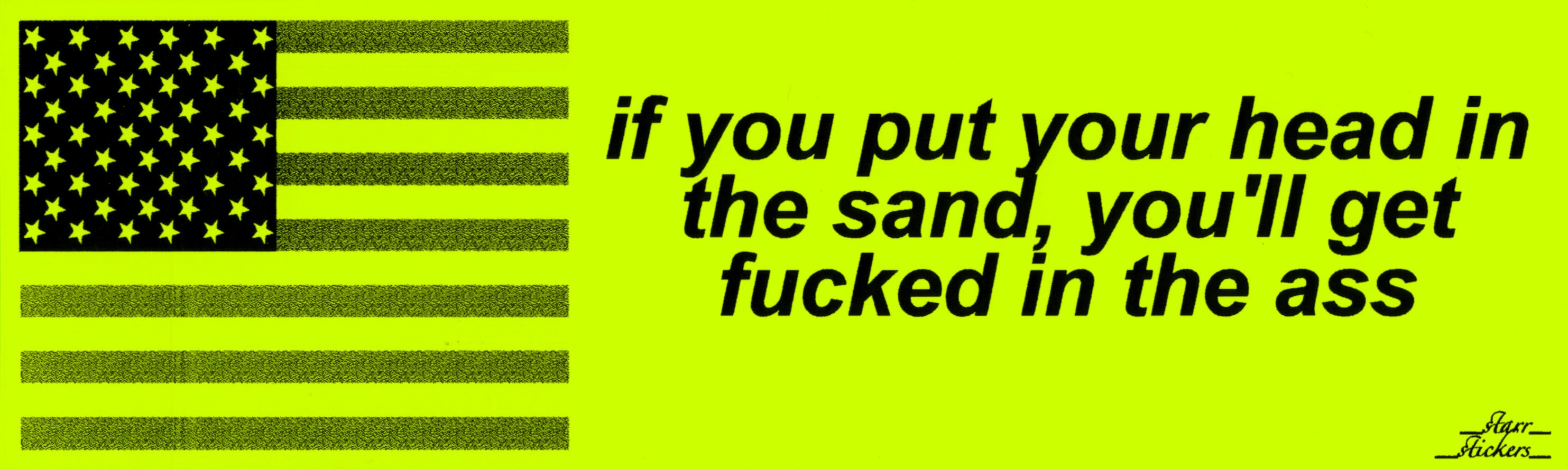 0198 HEAD IN THE SAND